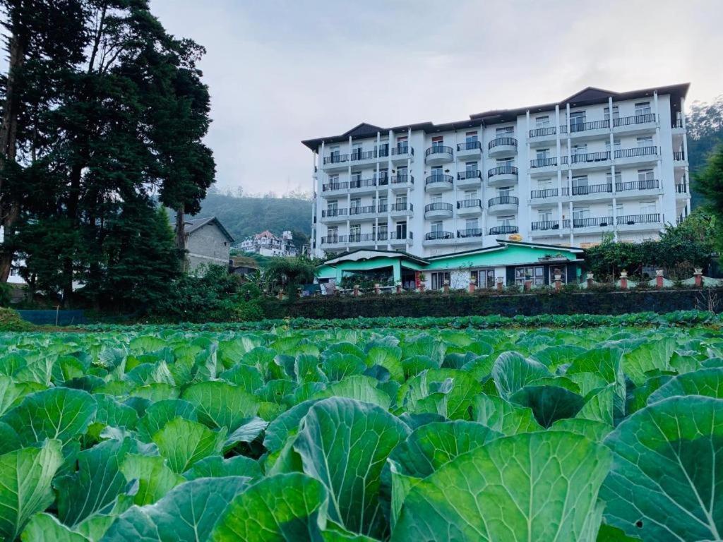 Appartamento The Teak By Lakbima Nuwara Eliya Esterno foto